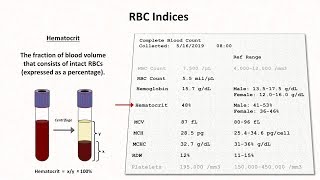 Lab Results Values and Interpretation CBC BMP CMP LFT [upl. by Jeromy]