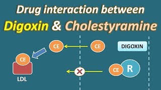 Drug interaction between Digoxin and Cholestyramine [upl. by Yerrok405]