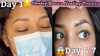 Ombre Brows Healing Process [upl. by Adolf291]