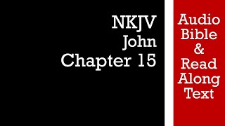 John 15  NKJV Audio Bible amp Text [upl. by Adnawyt133]