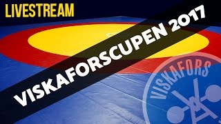 Viskaforscupen 2017  Brottning [upl. by Akiehs]