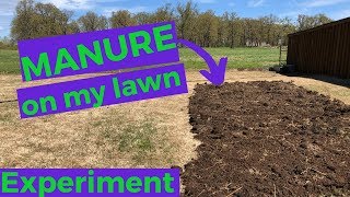 MANURE on lawn  spring experiment 2019 [upl. by Ennylyak655]