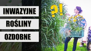 UWAŻAJ co sadzisz w OGRODZIE 14 inwazyjnych roślin ozdobnych Niebezpieczne rośliny ogrodowe [upl. by Yendyc316]