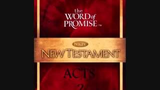 BOOK OF ACTS  NKJV [upl. by Adela375]