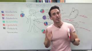 Gut microbiota gut bacteria  Introduction [upl. by Umont154]