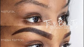 OMBRE BROW TATTOO UPDATE Permanent Eyebrows [upl. by Eseerahs]