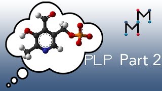 Transamination Mechanism PART 2 Chemistry of the PLP Coenzyme [upl. by Ennyletak27]