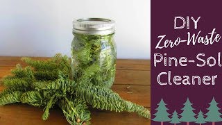 How to make DIY PineSol  Vlogmas Day 20  DIY ZeroWaste Cleaning [upl. by Irafat444]