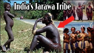 Tribes of Andaman  Jarawa Sentinelese Onge Tribe  Part 1  Dark Ride [upl. by Ecnav]