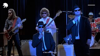 The Blues Brothers Everybody needs somebody HD CLIP [upl. by Kipper]