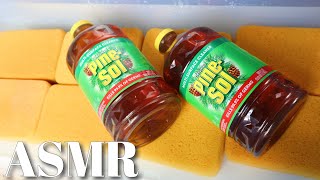 🌲 ASMR GALLONS OF PINE SOL 🌲 satisfying sponge squeezing [upl. by Joslyn24]