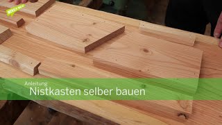 Anleitung Nistkasten selber bauen [upl. by Guy]