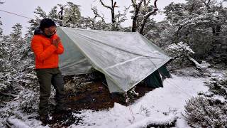 Winter Camping In A Snow Storm With Dog [upl. by Ajiam]