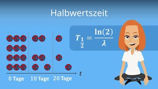 Halbwertszeit berechnen  einfach erklärt [upl. by Oramlub]