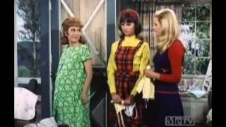 Petticoat Junction  Only A Husband  Part 1  S6 E3 [upl. by Seafowl8]