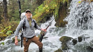 Stranded in Alaskas Rainforest  3 Days Solo camping [upl. by Essy]