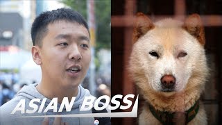 Do All Koreans Really Eat Dog Meat Street Interview  ASIAN BOSS [upl. by Hairym]