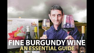 10Minute Guide to Burgundy  Fine Wines from Bourgogne Part1 [upl. by Nhar833]