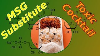 What is Disodium Inosinate and Guanylate  MSG Substitute  Food Label Ingredients [upl. by Neenad731]