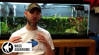 How to REMOVE NITRATES from your Aquarium 3 steps to Balance Nitrate levels in your Aquarium [upl. by Ettecul]