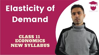 Elasticity of Demand in Nepali  New Syllabus  Class 11  Economics [upl. by Karab941]