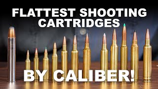 Flattest Shooting Cartridges by Caliber [upl. by Papotto156]