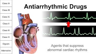 Antiarrhythmic Drugs [upl. by Owades]