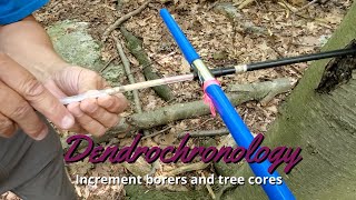 Dendrochronology How to use an increment borer [upl. by Tannenwald]