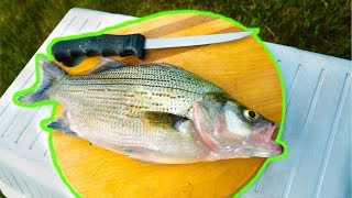 White Bass CATCH CLEAN COOK So Delicious [upl. by Orin46]