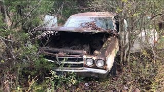 MYSTERY LS6 SS454 1970 CHEVELLE WAS DRIVEN INTO THE WOODS AND ABANDONED [upl. by Tamma]