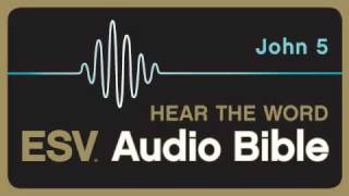 ESV Audio Bible Gospel of John Chapter 5 [upl. by Anuska]