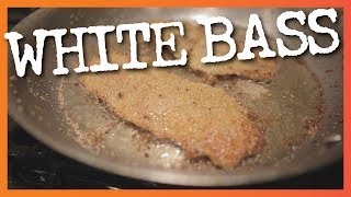 Cooking White Bass Sand Bass Fillets — Yum [upl. by Killarney]