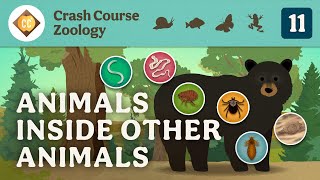 Parasites Crash Course Zoology 11 [upl. by Atnahsal]