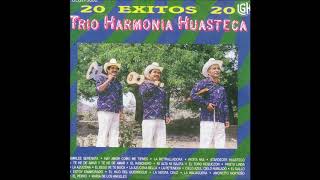 Trio Armonia Huasteca  20 Exitos Disco Completo [upl. by Woolcott]