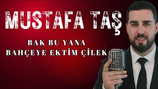 Mustafa Taş  Bak Bu Yana  Bahçeye Ektim Çilek [upl. by Eninahpets722]