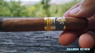 Cohiba Siglo II Zigarren Review [upl. by Emanuele]