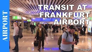 TRANSIT WALK AT FRANKFURT Airport FRA Terminal 1  Connection Flight Transfer Arriving amp Departing [upl. by Taub]