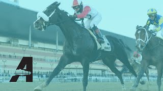 Aqueduct Racing  January 14 2022 [upl. by Christmann763]