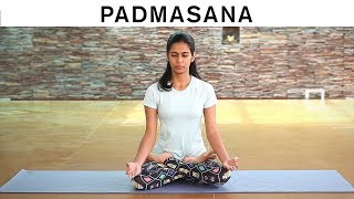 How to do Padmasana  Lotus Pose [upl. by Arlin]