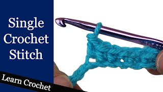 Single Crochet Stitch  Beginner Course Lesson 6 [upl. by Aneertak]