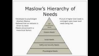 Maslows Hierarchy of Needs [upl. by Ainezey]