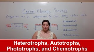 Heterotrophs Autotrophs Phototrophs and Chemotrophs [upl. by Sekyere885]