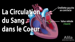 Cohérence cardiaque  avec Mer et Respiration  5 min [upl. by Eliak]