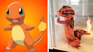 20 POKEMON EN LA VIDA REAL [upl. by Deckert]