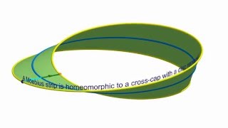 Moebius strip and Crosscap [upl. by Niotna]