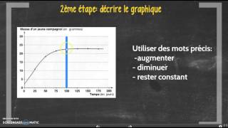 Tutoriel cycle 4 analyser un graphique [upl. by Ennaillek]